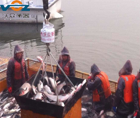 ˮ�캣��O�I(y��)���a(ch��n)���÷�ˮ����ӵ���