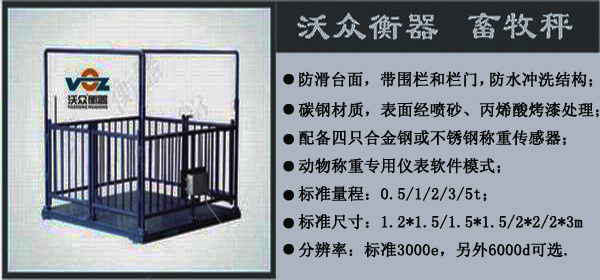 �ֱ�������-�����ۺ����